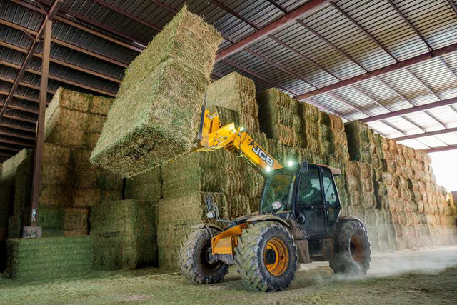Industria Alfalfa