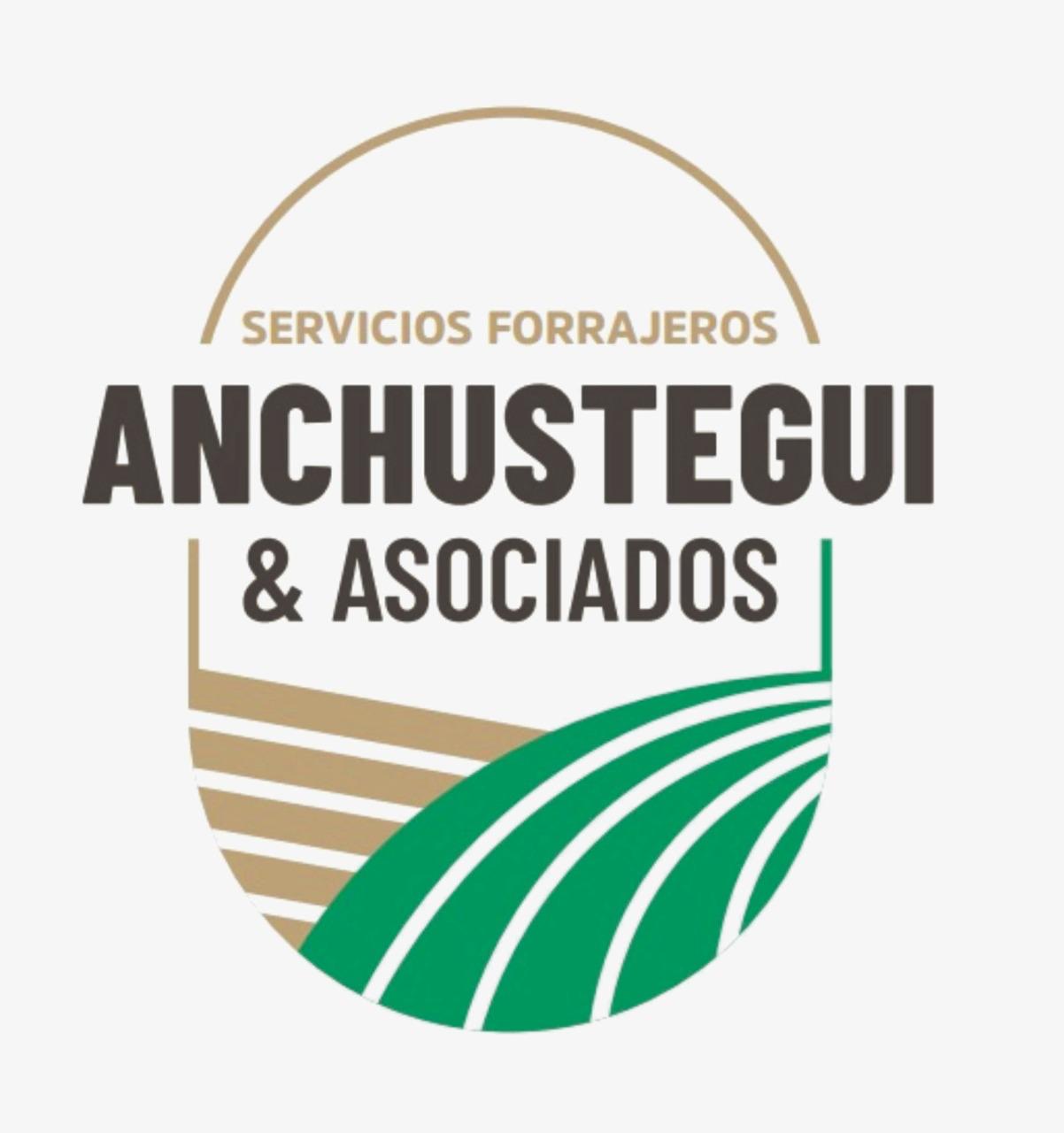 Anchuastegui & Asociados