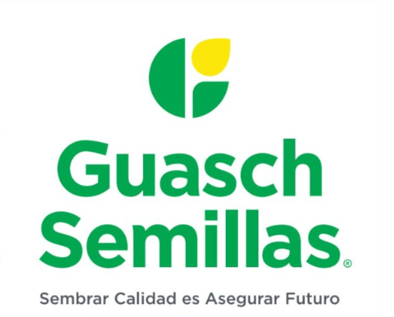 Guasch