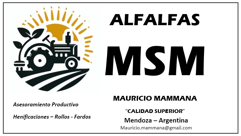 Mammana